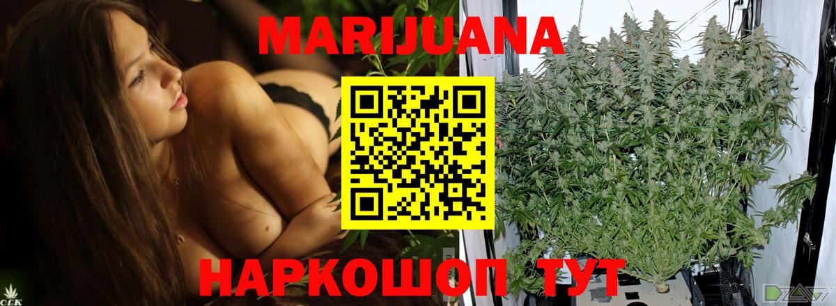 Бошки марихуана индика  Вход с VPN  Славгород  МАРИХУАНА THC 21% 