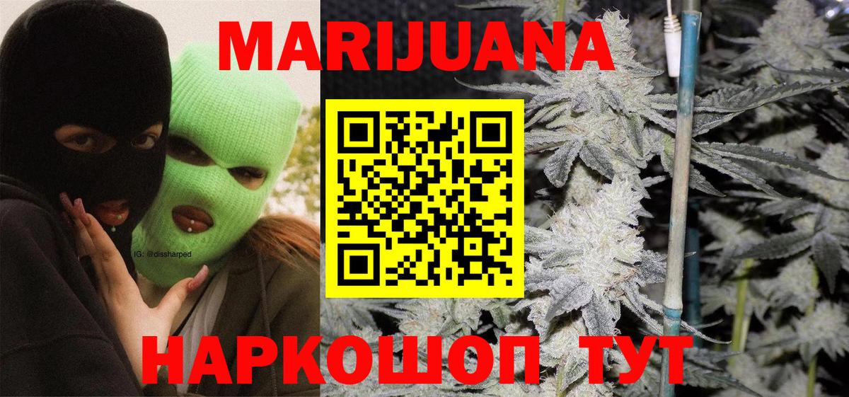 Каннабис план Славгород